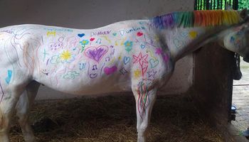 Koń zamiast kartki papieru atrakcją na półkolonii. Dzieci malowały po żywym zwierzęciu