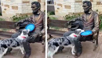 Zabawna psinka nie może zrozumieć, dlaczego posąg Abrahama Lincolna nie chce rzucić jej Frisbee