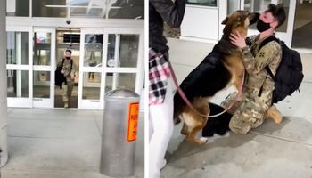 Żołnierz wraca ze służby, a na lotnisku wita go jego ukochany piesek