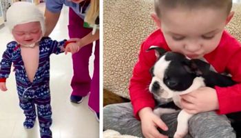 Po operacji mózgu chłopiec otrzymał szczeniaka, ale rodzina szybko odkrywa, że coś jest nie tak