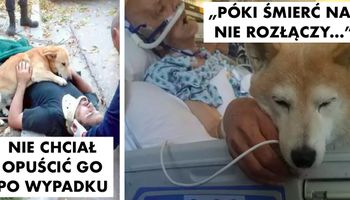 25 dowodów bezgranicznej miłości, jaką otaczają nas psiaki