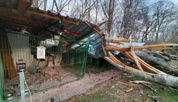 Huragan Eunice zdewastował schronisko w Toruniu. Zdjęcia mrożą krew w żyłach