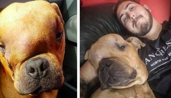 Adoptował psa z ogromnym guzem na głowie, aby jego ostatnie dni były szczęśliwe i niezapomniane