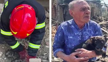 Udało się wyciągnąć małego szczeniaka spod gruzów zbombardowanego domu we wschodniej Ukrainie