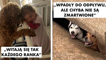 20 zwierzaków, które działają niczym magiczna tabletka na dobry humor