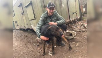 Mistrz Polski w wyścigach psich zaprzęgów ewakuuje setki zagrożonych zwierząt z Ukrainy