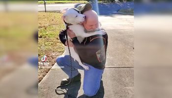 Pies ze schroniska po raz pierwszy spotyka swojego nowego tatę. Jego reakcja… aż łzy lecą!