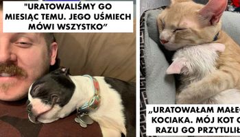 15 zwierzaczków, które mają w sobie tyle miłości, że mogłyby nią obdzielić cały świat