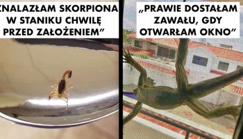 17 ludzi, którzy zostali nawiedzeni przez zwierzęta, gdy w ogóle się tego nie spodziewali