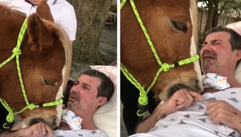 Chory mężczyzna płakał, gdy odwiedził go koń terapeutyczny. „Nigdy o tym nie zapomni”
