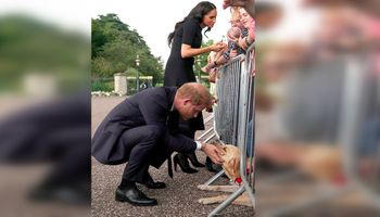 Poruszający gest Harry’ego przed zamkiem Windsor. Wszystko uchwyciły kamery