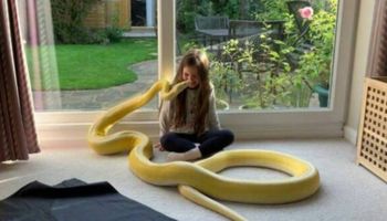 Dziewczynka dorastała z 5 m wężem! Ojciec pozwalał jej na dziwne zabawy z „pupilem”