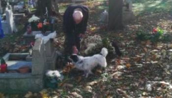 Przyłapał mężczyznę ze swoim psem na cmentarzu. „To bulwersujące, obok spoczywa moja siostra”