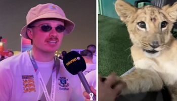 Katar: Brytyjczycy szukali piwa. Poznali syna szejka i skończyli w pałacu, bawiąc się z lwem