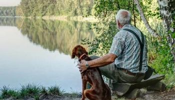 Zaginiony pies znaleziony w parku ze starszym panem. „Wiedział, gdzie jest potrzebny”