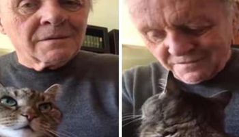 Anthony Hopkins żegna ukochanego kota. Emocjonalne wideo wyciska łzy