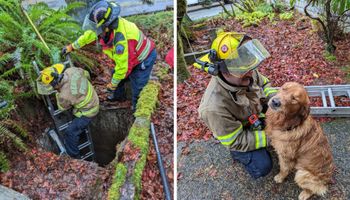 Strażacy ratują psa, który wpadł do studni. Pies pocałował jednego z nich w podzięce.