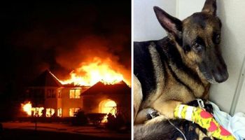 Dom eksplodował i stanął w płomieniach. Uwięzionych w środku ludzi uratował pies