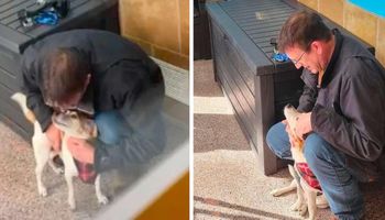 Po 6 latach rozłąki odnalazł swojego ukochanego psa. Trudno nie płakać, widząc ich spotkanie
