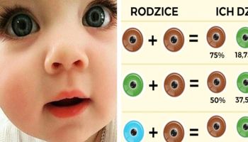 Jaki kolor oczy będzie miało Twoje dziecko? Ta grafika pomoże Ci rozwiązać zagadkę