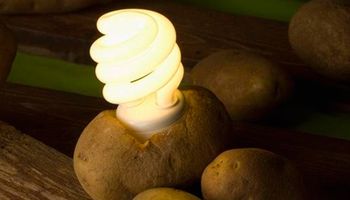 Ziemniaki alternatywnym źródłem energii? Jak się okazuje, jest to całkiem możliwe