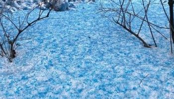 Ku zaskoczeniu mieszkańców, w Petersburgu spadł niebieski śnieg