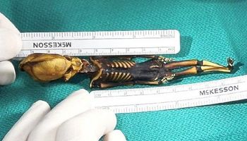 Tajemnica zdeformowanego szkieletu znalezionego na pustyni Atacama w końcu została rozwiązana