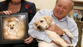 Koreańska firma oferuje usługę sklonowania zmarłego psa. Klientów z ukochanymi pupilami nie brakuje