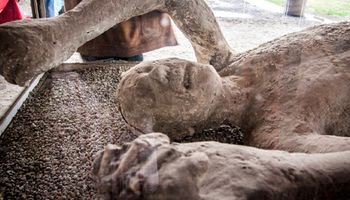 Odnaleziono kolejne szczątki i artefakty w Pompejach. Wszystko dzięki złodziejom grobów