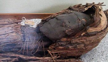 Najstarsze mumie na świecie zamieniają się w „czarną maź”, a konserwatorzy są bezsilni