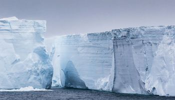 Gigantyczny lodowiec oderwał się od półki i odsłonił nieznany dotąd podwodny świat