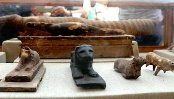 W 2500-letnim starożytnym egipskim grobowcu znaleziono dziesiątki zmumifikowanych kotów
