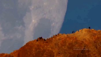 Nagranie gigantycznego Księżyca wydającego się „spadać” na Ziemię jest absolutnie spektakularne