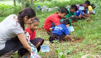 Zgodnie z nową ustawą, uczniowie na Filipinach muszą zasadzić 10 drzew, by ukończyć szkołę