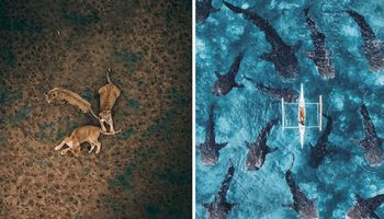 Podziwiaj świat z góry dzięki niesamowitym zdjęciom uchwyconym przez drony