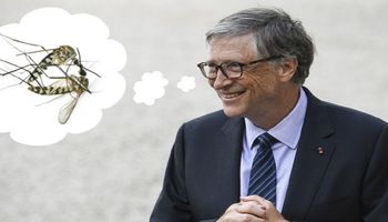 Bill Gates wydał miliony dolarów, by stworzyć świat bez komarów. Właśnie tworzy tajną broń