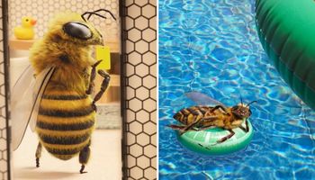 Pszczoła-influencerka walczy z problemem wymierania owadów i wspiera swoją społeczność
