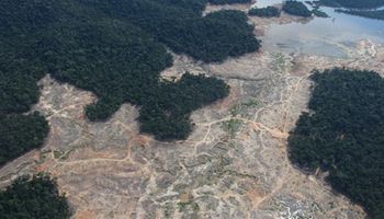 Amazonia osiąga punkt krytyczny. Płuca planety mogą zamienić się w martwą pustynię