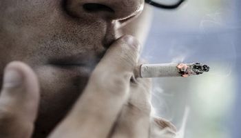 Ile wynosi śmiertelna dawka nikotyny? Badanie dotyczące toksyczności rozwiewa wątpliwości