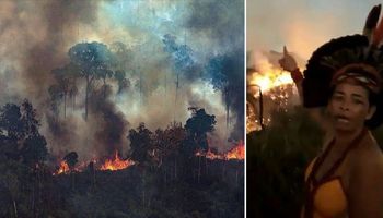 Lasy deszczowe Amazonii wciąż płonął. Rdzenni mieszkańcy rozpaczliwie nawołują o pomoc