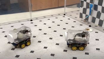 Naukowcy nauczyli szczury prowadzić miniaturowe pojazdy. Oczywiście to w imię nauki