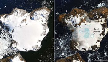 Rekordowe temperatury na Antarktydzie. Termometry pokazały ponad 20 °C na lodowym kontynencie