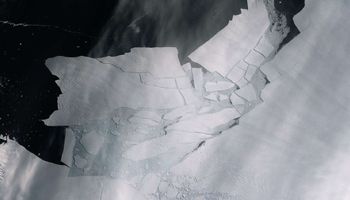 Gigantyczne góry lodowe oberwały się z lodowca Pine Island