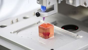 Zespół naukowców stworzył przezroczyste ludzkie organy za pomocą drukarki 3D