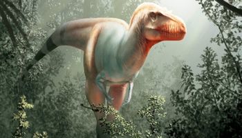 Odkryto nowy gatunek dinozaura. Żniwiarz Śmierci był przodkiem znanego wszystkim t-rexa