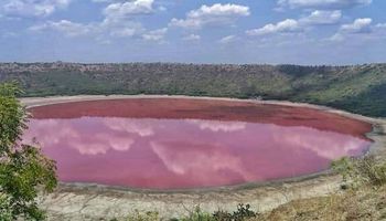 Jezioro Lonar liczące 50000 lat zadziwiło naukowców nagle zmieniając kolor na różowy