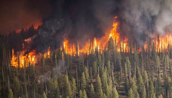 Lasy na Syberii znowu płoną. To jedne z najgorszych pożarów zaobserwowanych w ciągu ostatnich lat