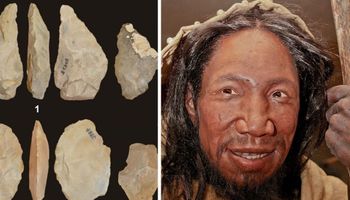 W Polsce odnaleziono najstarsze szczątki neandertalczyków z Europy Środkowej