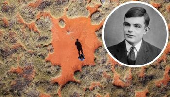 Tajemnicze kręgi na pustyni wyjaśnione przez teorię Alana Turinga sprzed 70 lat