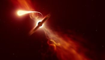 Ostatni krzyk światła gwiazdy pożeranej przez czarną dziurę w sercu odległej galaktyki